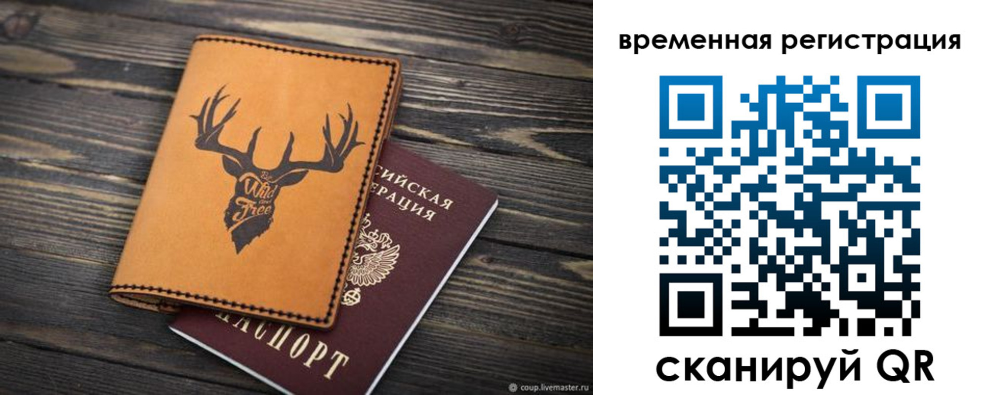 прописка в Щиграх